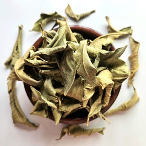Folha seca de limão, 25g 0,88 onças, Citrus limonum, Citrus x limon, Citrin, Limão Português, Folha de limão, Cidra, Limón, Limão, Chá de ervas