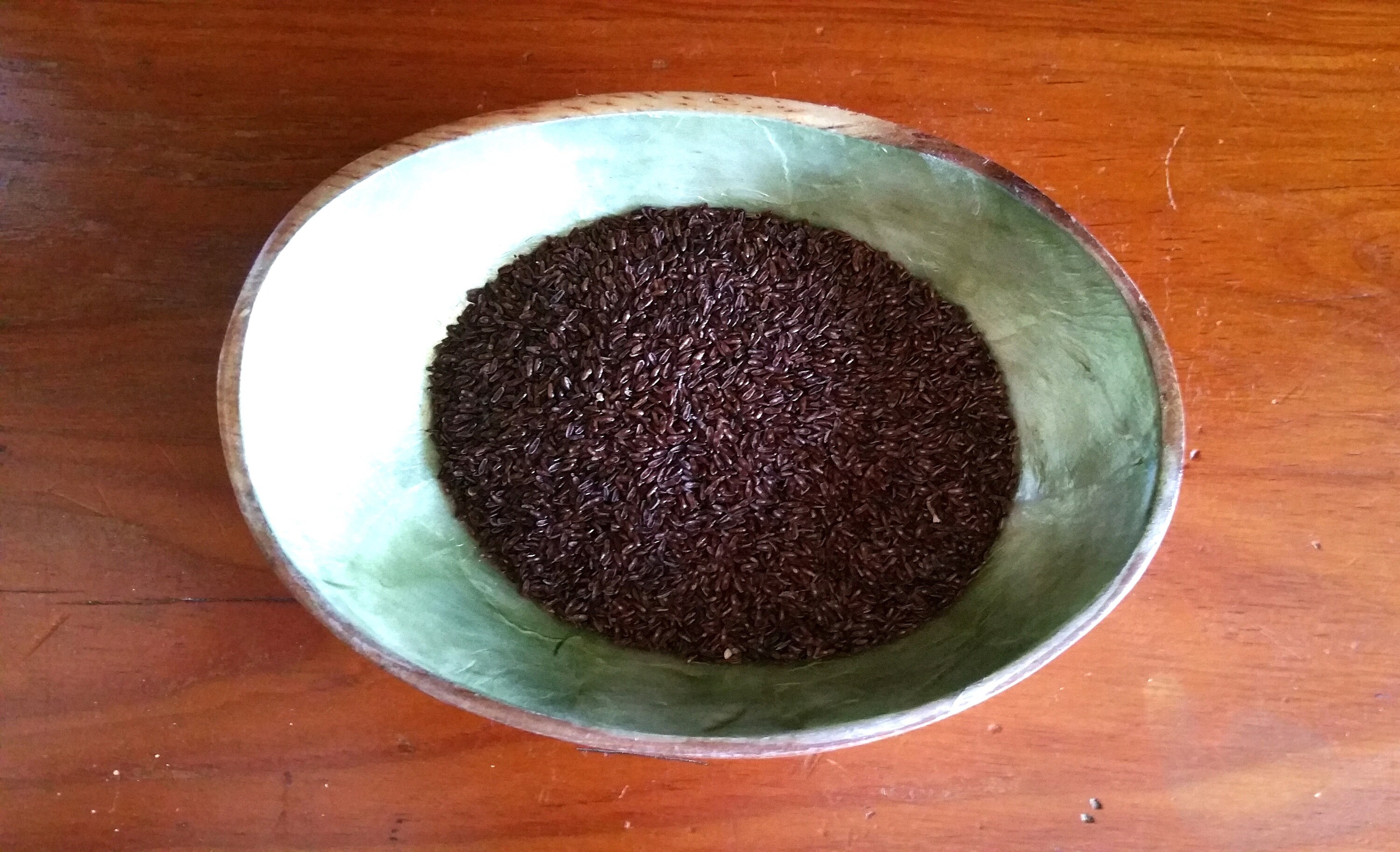 Psyllium brun - Achat, utilisation et bienfaits - L'ile aux épices