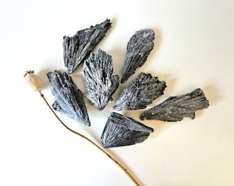 Può includere: Una collezione di cristalli di cianite nera disposti a ventaglio, con un baccello di papavero secco e uno stelo. I cristalli hanno un aspetto strutturato e stratificato, di dimensioni variabili. Lo sfondo è una superficie bianca.