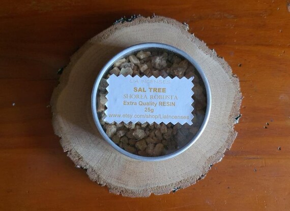 Sal Tree Resin, 25g 0.88oz, Shorea Robusta, Sal Tree Incense