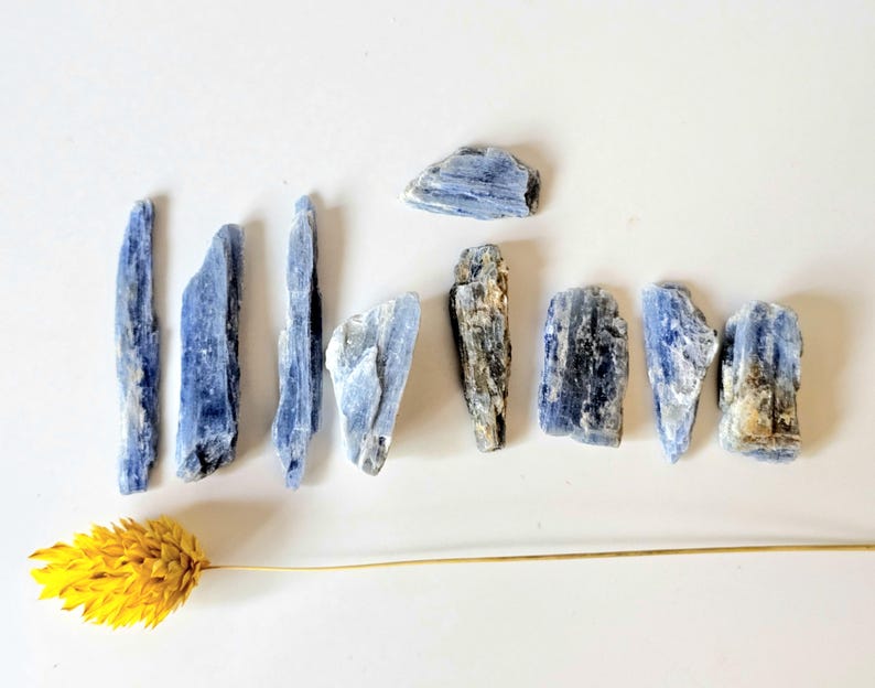 May include: An assortment of blue kyanite crystals, varying in size and shape, are arranged on a white surface. A dried yellow flower with a long stem is positioned at the bottom left. The crystals have a natural, rough texture.