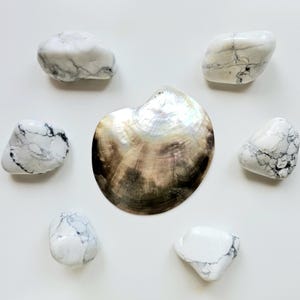 Howliettuimelaar, howliettuimelsteen, wit howliet, howlietkristal, howlietedelsteen, howlietmineraal, 1 steen
