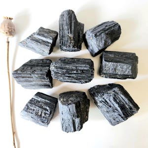 Puede incluir: Un conjunto de cristales de turmalina negra en bruto, dispuestos en círculo. Los cristales tienen una superficie rugosa y texturizada. A la izquierda, una cápsula de amapola seca, sobre un fondo blanco.