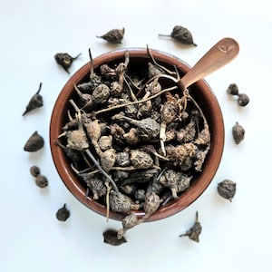 Gowe dried roots, 25g 50g 0.88oz 1.76oz, Cyperus rotundus, Coco-grass, Java grass, Nutsedge, Diguidjé, Danda da Costa, Gowé from Senegal