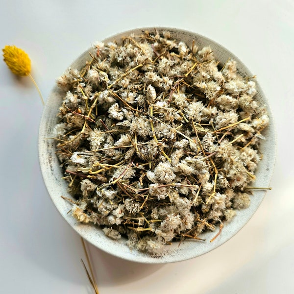 ALGERIAN TEA dried flowers, 25g 50g 100g 0.88oz 1.76oz 3.53oz, Paronychia argentea, Silvery Paronychia, Nevadillo, Erva Prata