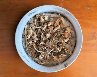 BUTCHER'S BROOM dried root 30g Ruscus aculeatus Butchers broom Balai du Boucher Rusco Gilbardeira