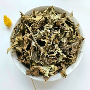 LEATHER HAT dried leaf, 25g 50g 100g 0.88oz 1.76oz 3.53oz, Echinodorus macrophyllus, Minas Gerais tea, Cha de Mineiro, Chapeu de Couro