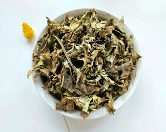 LEATHER HAT dried leaf, 25g 50g 100g 0.88oz 1.76oz 3.53oz, Echinodorus macrophyllus, Minas Gerais tea, Cha de Mineiro, Chapeu de Couro