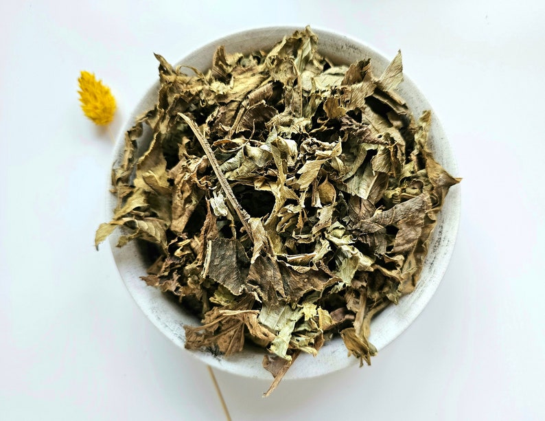 LEATHER HAT dried leaf, 25g 50g 100g 0.88oz 1.76oz 3.53oz, Echinodorus macrophyllus, Minas Gerais tea, Cha de Mineiro, Chapeu de Couro