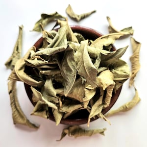 Zitronengetrocknetes Blatt, 25g 0,88 Unzen, Citrus limonum, Citrus x limon, Citrin, portugiesische Zitrone, Zitronenblatt, Citron, Limón, Limao, Kräutertee