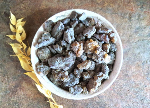 種子 100粒 ボスウェリア リバエ Boswellia rivae の種子