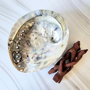 Abalone Shell with Cobra Stand, XXL size 16cm 6.30in, Natural Abalone Shell + OFFER shamanic sand bag 25g 0.88oz
