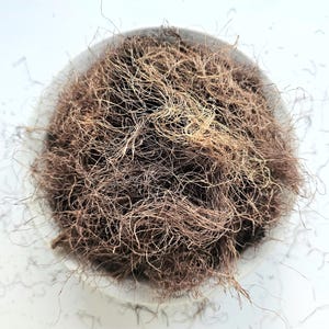 Cornsilk, Corn Silk tea, 25g 50g 0.88oz 1.76oz, Zea mays, Stigma Maydis, Barbe de Mais,  Seda de Maiz, Barbas de milho