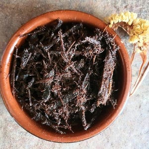 Thiouraye Djamena blend, Churai from Chad, 25g 50g 0.88oz 1.76oz