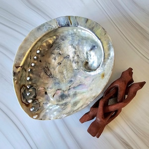 Abalone Shell with Cobra Stand, XXL size 16cm 6.30in, Natural Abalone Shell + OFFER shamanic sand bag 25g 0.88oz