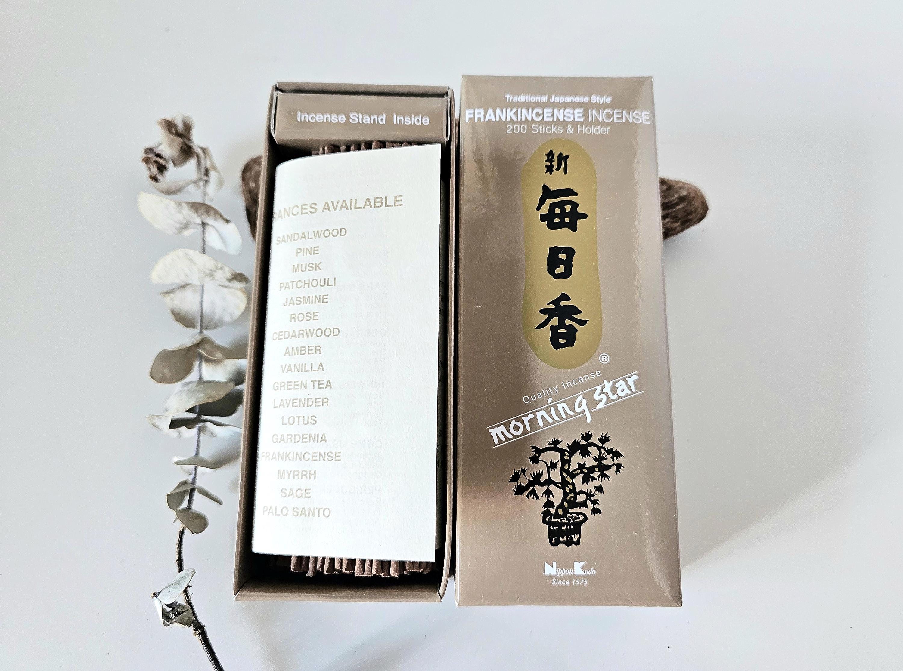 Wierook Morning Star Rose – Spiritual Living