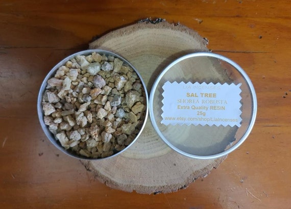 ◆sala tree◆ Sal Tree Resin, 25g 0.88oz, Shorea Robusta, Sal Tree Incense