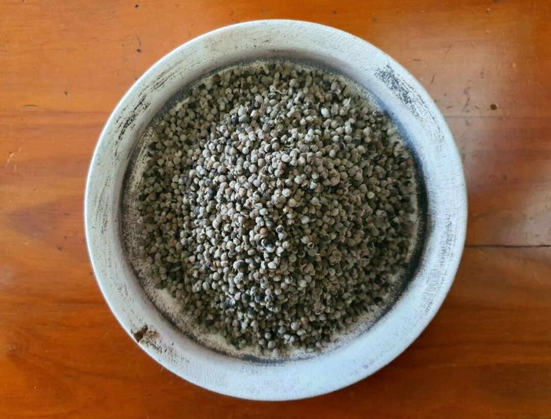 VITEX AGNUSCASTUS Dried Berries 25g Chasteberry Vitex Agnus Etsy