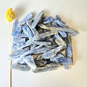 May include: A collection of blue kyanite crystals with a yellow dried flower on a white background. The kyanite pieces are various sizes and shapes, displaying a range of blue hues. The flower is a bright yellow, adding a contrasting color to the composition.