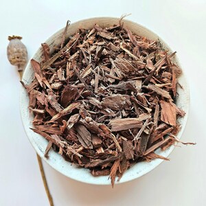 CASHEW dried bark, 25g 50g 0.88oz 1.76oz, Anacardium occidentalis, Anacardo, Anacardier, Cajou, Cajuil, Anacardier, Cajueiro