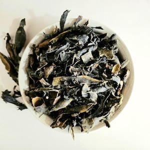 Blaaswier gedroogd zeewier, 50 g, 100 g 1,76 oz 3,53 oz, Fucus Vesiculosus, blaaswier, Laitue de Mer, Alga Nudosa, Zeekelp, Algas Marinhas