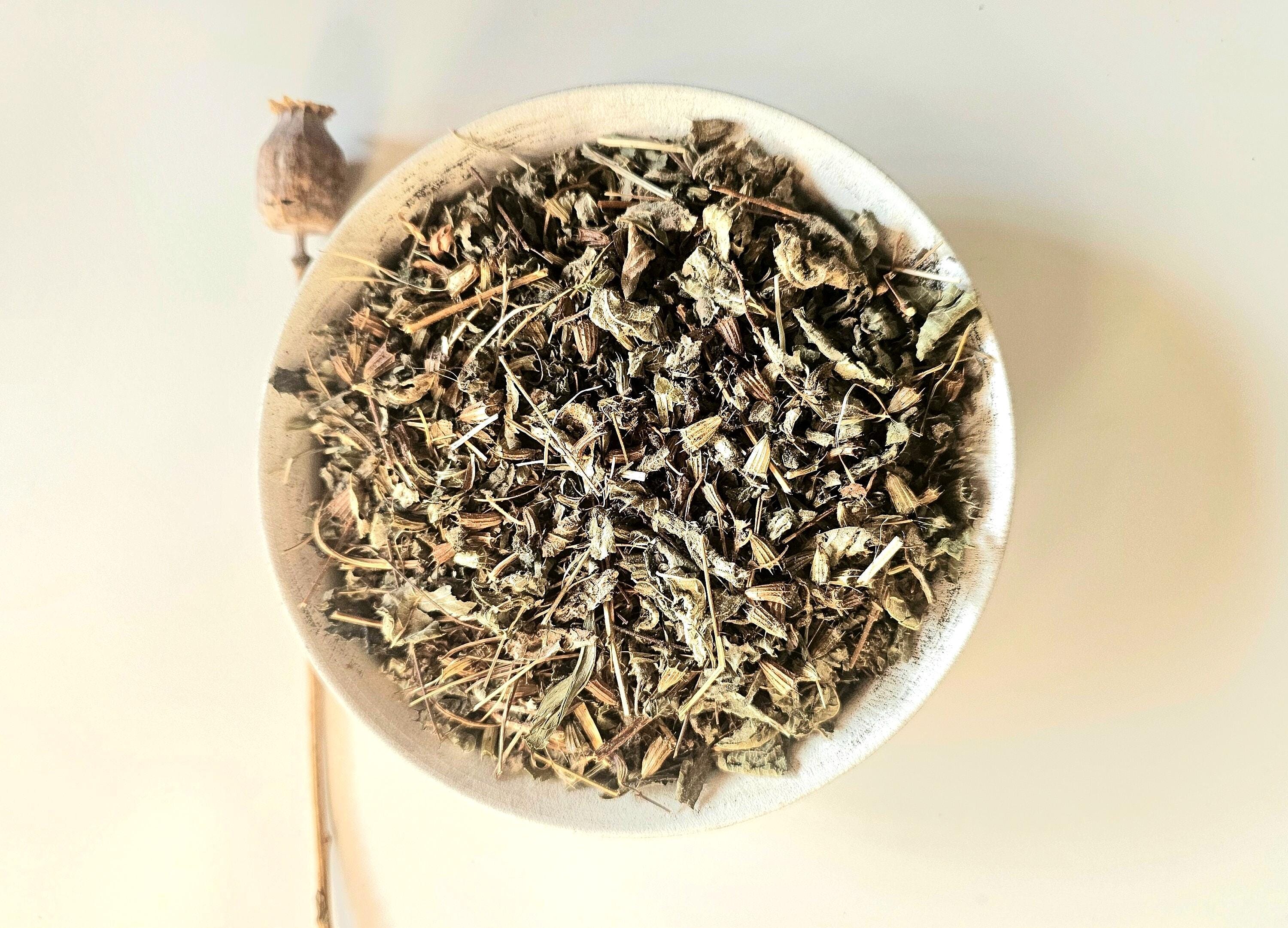 Patchouli dried plant, 25g 50g 100g 0.88oz 1.76oz 3.53oz, Pogostemon cablin, Huo Xiang, Patchouly, Patchuli