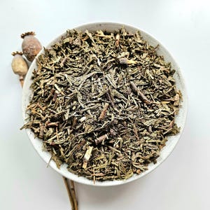 THUJA needles leaves, 50g 100g 1.76oz 3.53oz, WHITE CEDAR, Thuja occidentalis, Eastern White Cedar, Cèdre Blanc, Tuia, Tuya, Cedro branco