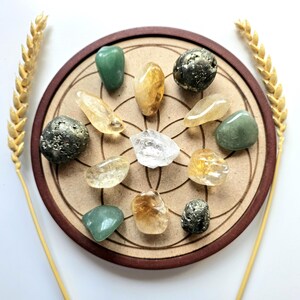Pu&ograve; includere: Una collezione di pietre preziose lucide di vari colori, tra cui verde, giallo e trasparente, disposte su una base circolare in legno con un bordo marrone. Due spighe di grano fiancheggiano la composizione. Le pietre preziose sono di forme e dimensioni diverse.