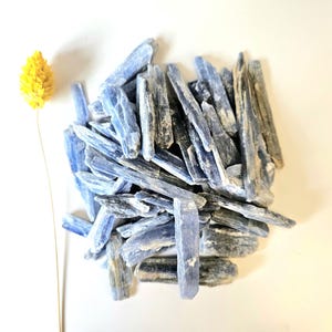 May include: A pile of blue kyanite crystals with a yellow dried flower on a white background. The crystals are elongated and have a natural, rough texture. The color of the crystals varies from light to deep blue.