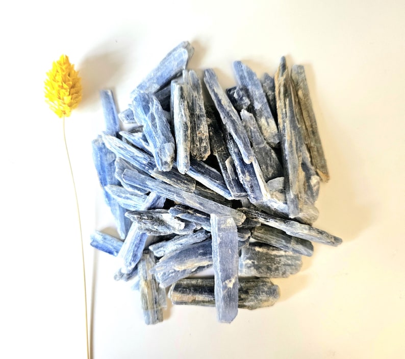 May include: A pile of blue kyanite crystals with a yellow dried flower on a white background. The crystals are elongated and have a natural, rough texture. The color of the crystals varies from light to deep blue.