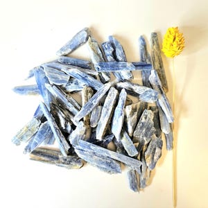 May include: A collection of blue kyanite crystals with a yellow dried flower on a white background. The kyanite pieces vary in size and shape, displaying shades of blue and gray. The flower has a textured, cone-like head.