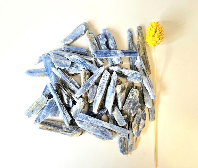 May include: A collection of blue kyanite crystals with a yellow dried flower on a white background. The kyanite pieces vary in size and shape, displaying shades of blue and gray. The flower has a textured, cone-like head.