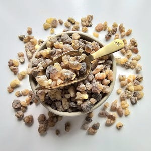 Boswellia frereana - Etsy 日本