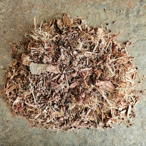 BARBATIMAN dried bark, 25g 50g 100g 0.88oz 1.76oz 3.53oz, Stryphnodendron barbatiman, Stryphnodendron adstringens, Barbatimao, Barbatimão image 7