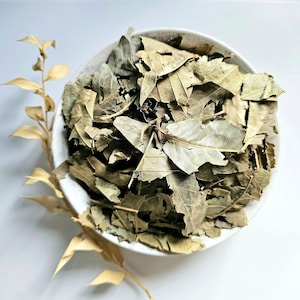 European Chestnut dried leaf, 25g 50g 0.88oz 1.76oz, Sweet Chestnut, Castanea sativa, Châtaignier, Castaño, Kastanienblaetter, Castanheiro