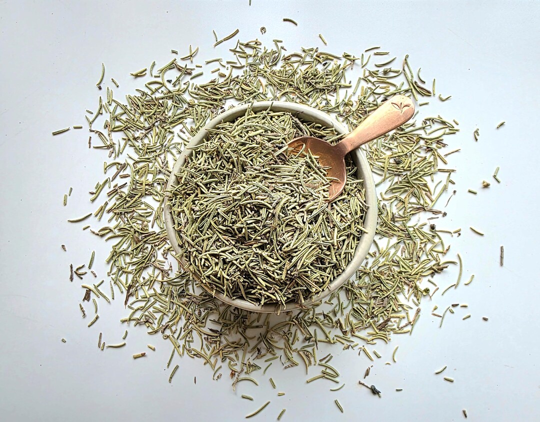 Pianta Di Rosmarino (Rosmarinus Officinalis) Immagine Stock - Immagine