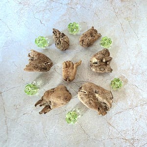 May include: A top-down view of a circular display featuring pieces of driftwood and small, green, glass beads. The driftwood is a light brown colour with a textured surface. The beads are translucent and spherical, providing a contrast to the natural tones.