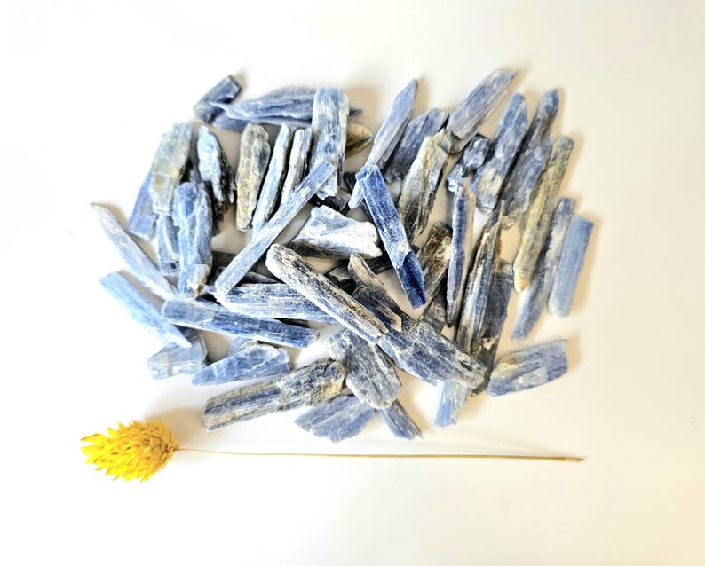 May include: A collection of blue kyanite crystals, varying in size and shape, are scattered on a white surface. The crystals have a natural, rough texture and a range of blue hues. A dried yellow flower stem lies near the crystals, adding a contrasting color.