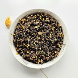 カリオプシス ドライフラワー、25g 50g 0.88オンス 1.76オンス、コレオプシス ティンクトリア、マダニ、ガーデン コレオプシス、プレーン コレオプシス、エストレラス ド エギト