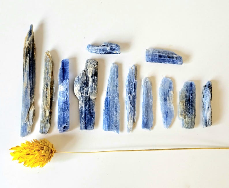 May include: An assortment of blue kyanite crystals with varying shapes and sizes, arranged on a white surface. The crystals display shades of blue and gray, with a textured appearance. A dried yellow flower is placed near the crystals.