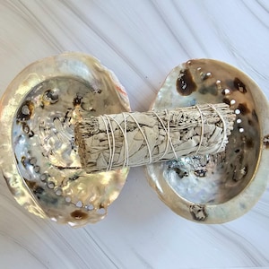 Abalone Shell for smudging, 12cm 4.72in 13cm 5.12in, + OFFER shamanic sand bag 25g 0.88oz, ONE abalone shell