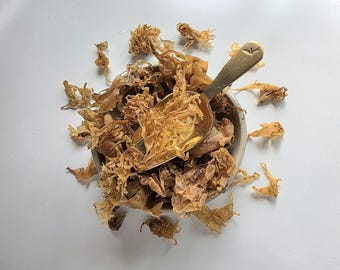 Irish Moss seaweed, Chondrus crispus, Musgo branco, Herbal Tea, 25g or 50g / 088oz or 1.76oz