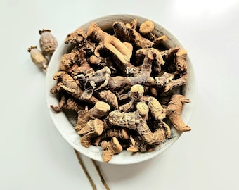 Galangal root, 25g or 50g, Alpina officinarum, Alpinia root, Chewing John, Low John, Galanga - BIG pieces, Herbal Tea