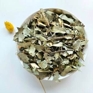 ESPINHEIRA SANTA dried plant, 50g 100g 1.76oz 3.53oz, CONGOROSA, Maytenus ilicifolia, Monteverdia ilicifolia, Cancrosa, Chuchuwasi, Maiteno