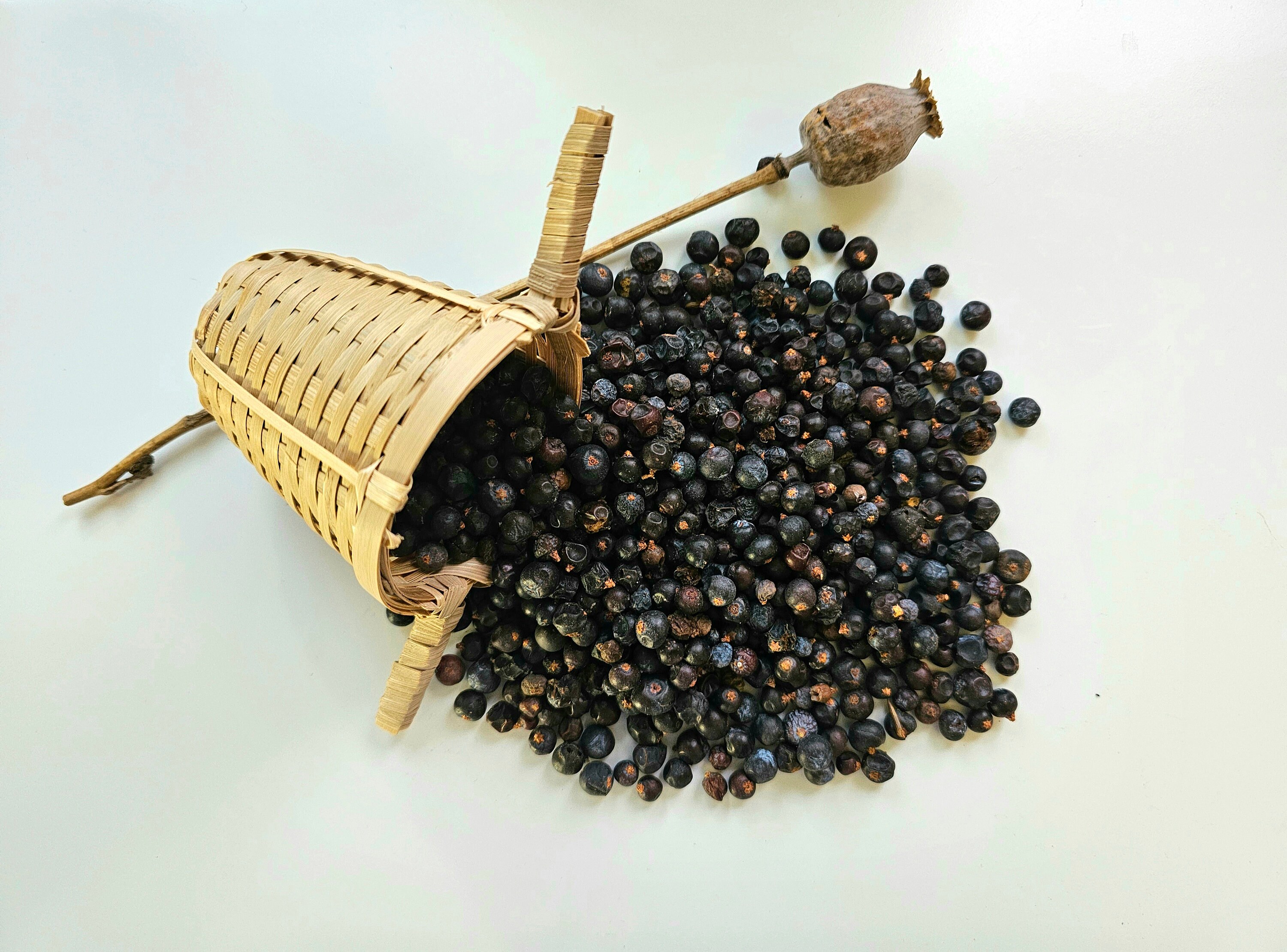 お歳暮 のし JUNIPER dried berries, 50g 100g 1.76oz 3.53oz, Juniperus キーホルダー・アクリルキーホルダー