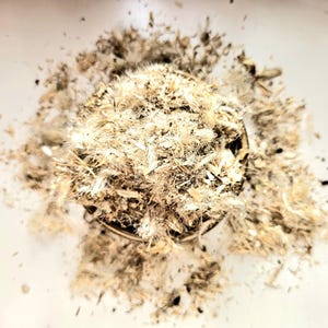 May include: An overhead view of a small, circular, metal object filled with a mass of light brown and tan feathers and down. The feathers are fluffy and textured, with some darker specks. The background is a plain white surface.