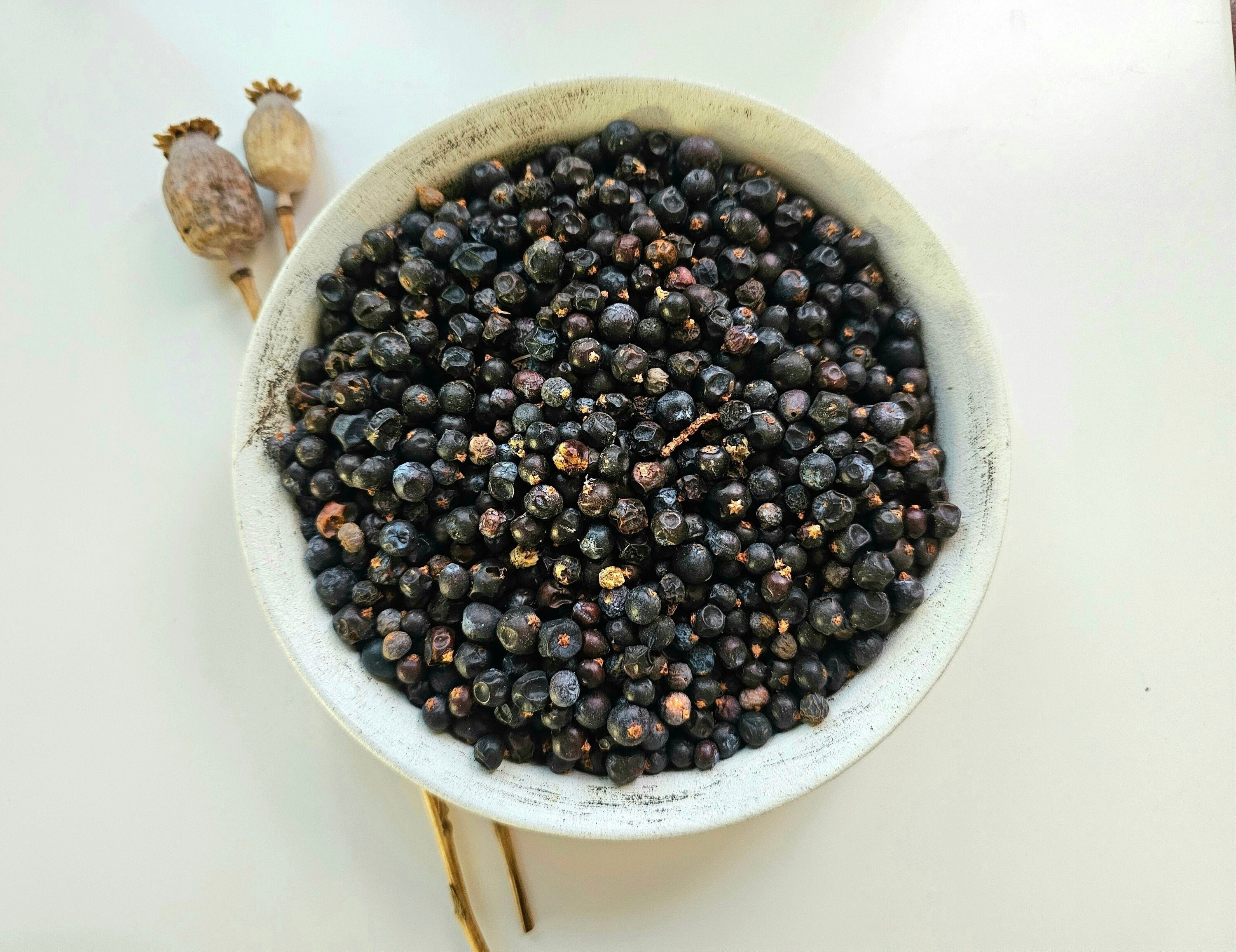 見逃し厳禁！おトクな dried JUNIPER berries, Juniperus 3.53oz, 1.76oz 100g 50g キーホルダー・アクリルキーホルダー