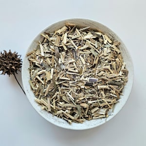 Insulin Plant, 50g 1.76oz, Costus spiralis, Spiral ginger, Cana do Brejo, Caninha do brejo, Cana de macaco, Canuela santa