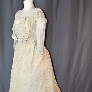 Antique Victorian Dress Ball Gown Tambour Lace -  1890 Label Johnson, Chicago -  Provenance