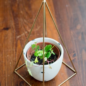 Gouden Nubische Piramide 15cm/5,9in voor het opnieuw activeren van voedsel, edelstenen, etherische oliën. Origineel Housewarming Cadeau